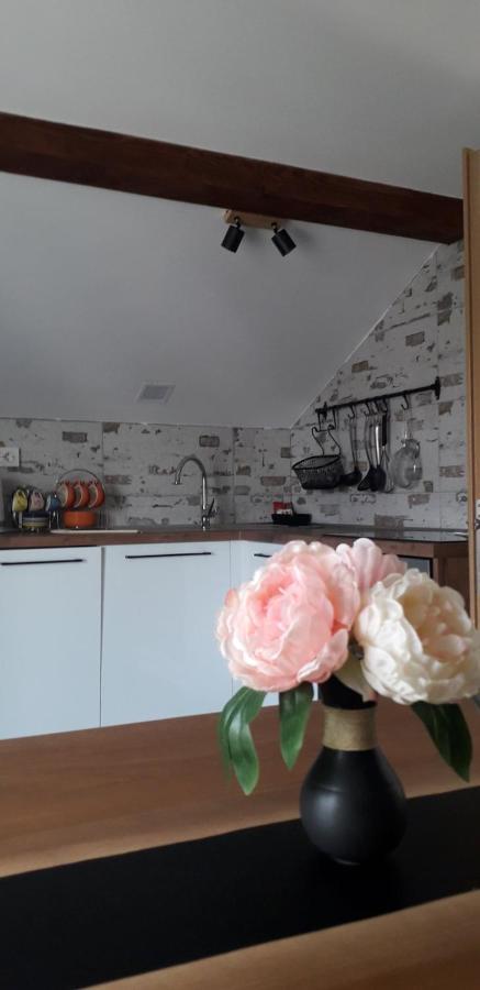 Apartman Megi & Studio Apartman Tomi - Self Check In Krapina Exteriör bild